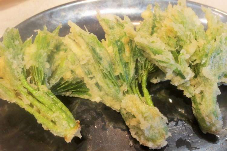 春の山菜ハリギリの天ぷら レシピ 作り方 By マイスターヨシ クックパッド 簡単おいしいみんなのレシピが357万品