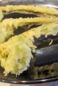 春の山菜、コゴミの天ぷら