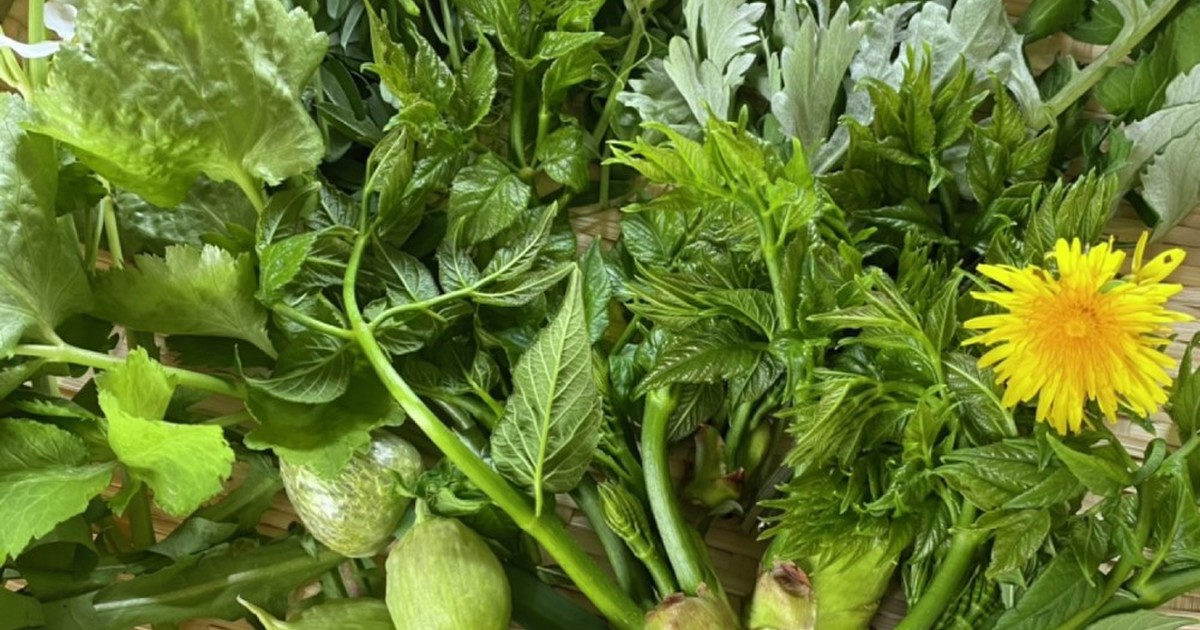 春の野草の天ぷら レシピ 作り方 By クックzkssqd クックパッド 簡単おいしいみんなのレシピが351万品