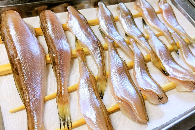 冷蔵庫で 旨味ギュとハタハタの一夜干し レシピ 作り方 By 悠美姉 クックパッド 簡単おいしいみんなのレシピが361万品