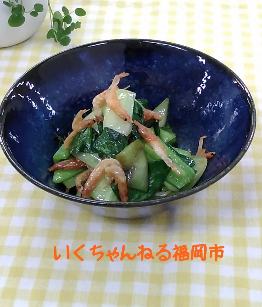 48．チンゲン菜と干しえびの中華炒めの画像
