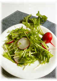 みんなが作ってる ラディッシュの葉のレシピ クックパッド 簡単おいしいみんなのレシピが351万品