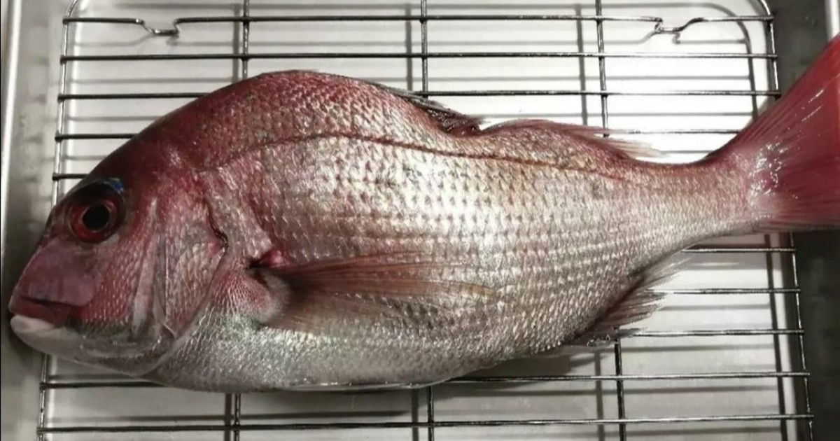 丸ごと一匹 鯛さばき レシピ 作り方 By Akiuwa クックパッド 簡単おいしいみんなのレシピが353万品