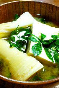 筍、姫うこぎ、豆腐or厚揚げのお味噌汁