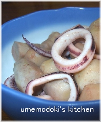 イカと里芋の煮物の写真