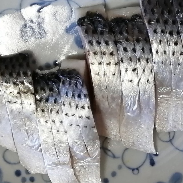 コノシロの酢漬け 簡単 塩抜き無 旨い レシピ 作り方 By 赤穂あらなみ塩 クックパッド 簡単おいしいみんなのレシピが354万品 コノシロの酢漬け 簡単 塩抜き無 旨い レシピ 作り方 By 赤穂あらなみ塩 クックパッド 簡単おいしいみんなのレシピが354万品