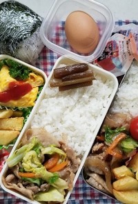 春キャベツ豚肉炒め弁当(4.16)