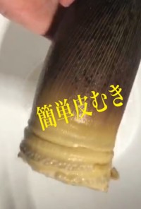 竹の子の皮いっきに剥く方法