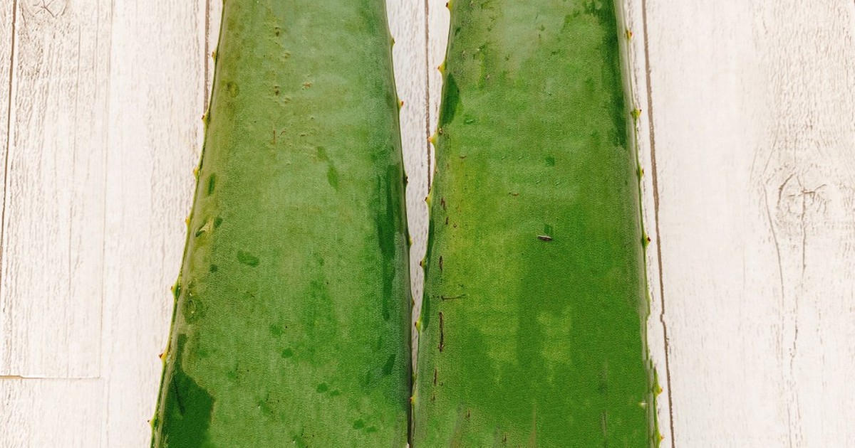 アロエベラの下処理方法と食べ方 レシピ 作り方 By めぐみの郷 クックパッド 簡単おいしいみんなのレシピが356万品