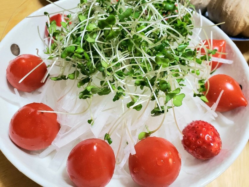 インドのスプラウトサラダのレシピ