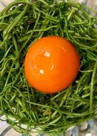 みんなが作ってる アケビのつるのレシピ クックパッド 簡単おいしいみんなのレシピが360万品