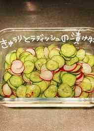 みんなが作ってる はつか大根の漬物のレシピ クックパッド 簡単おいしいみんなのレシピが359万品
