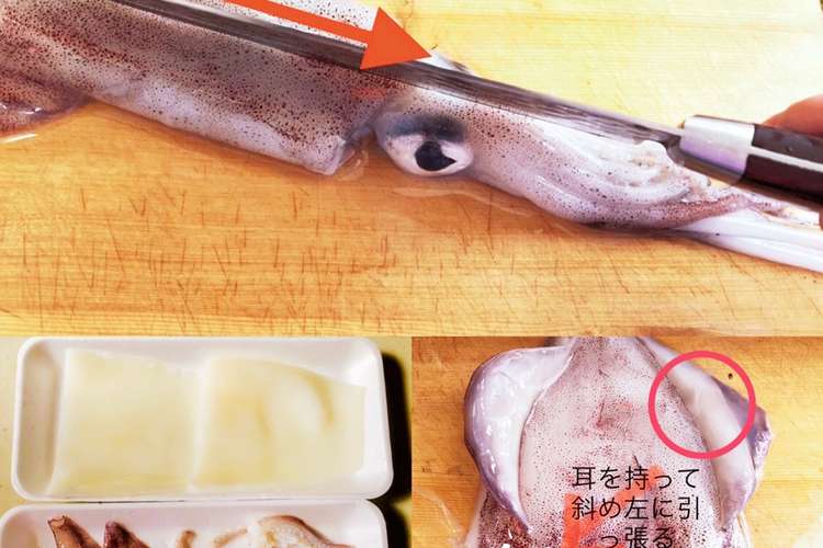 イカの捌き方皮の剥き方ᔦ๑ ๑ᔨ レシピ 作り方 By Emiri クックパッド 簡単おいしいみんなのレシピが357万品