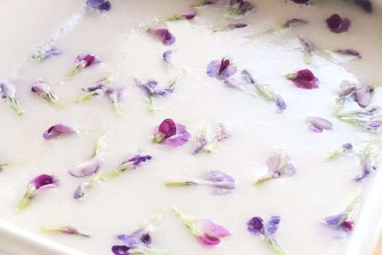 野草の花の寒天ゼリー レシピ 作り方 By チコ Chika クックパッド 簡単おいしいみんなのレシピが373万品