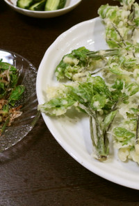山菜の天ぷら（コシアブラ）