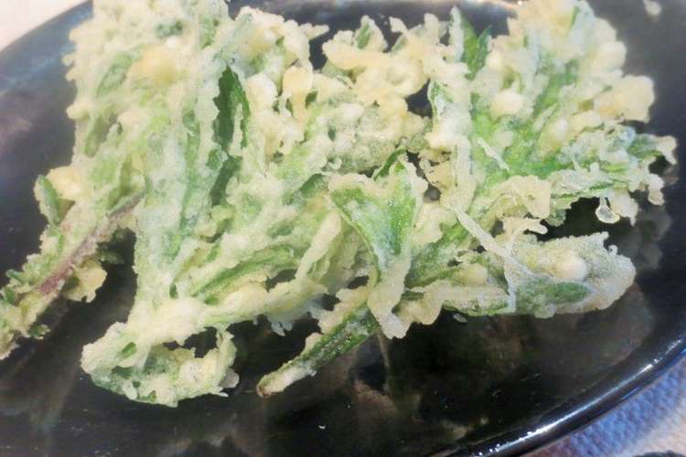 春の野草よもぎの天ぷら レシピ 作り方 By マイスターヨシ クックパッド 簡単おいしいみんなのレシピが378万品