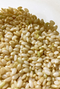 ダイエット、健康生活に！発芽玄米の作り方