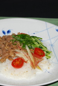 焼肉と薬味のサラダご飯(*^-^*)