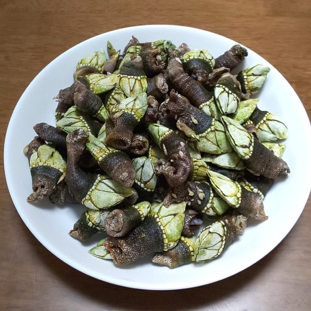 亀の手のちょっと塩薄めな塩茹で レシピ 作り方 By 及川真愛弥 クックパッド 簡単おいしいみんなのレシピが362万品