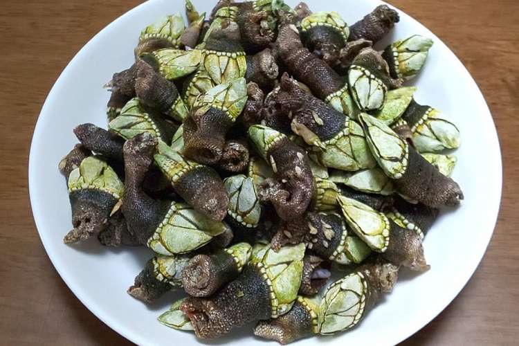 亀の手のちょっと塩薄めな塩茹で レシピ 作り方 By 及川真愛弥 クックパッド 簡単おいしいみんなのレシピが361万品