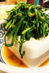 絹豆腐とおかひじきのわさび醤油和え