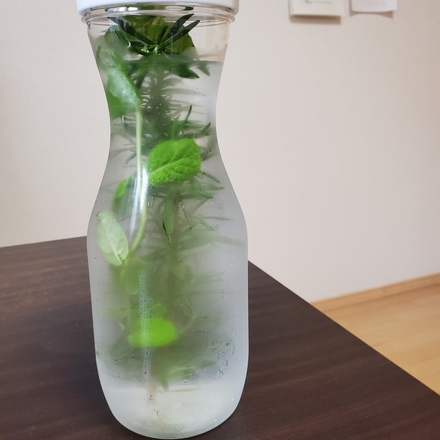 お手軽ハーブウォーター レシピ 作り方 By 佐藤博友 クックパッド 簡単おいしいみんなのレシピが366万品