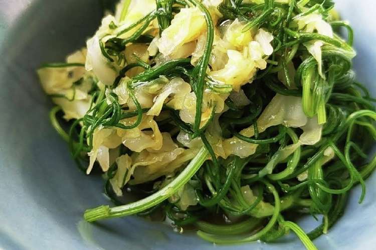 おかひじきのキャベツ和え レシピ 作り方 By 副菜や しのつむ クックパッド 簡単おいしいみんなのレシピが366万品