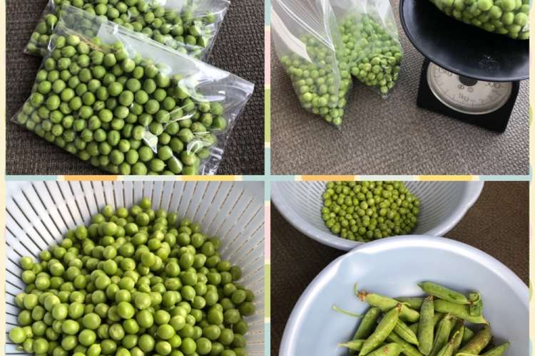 21 えんどう豆冷凍保存 レシピ 作り方 By Aki3684 クックパッド 簡単おいしいみんなのレシピが373万品