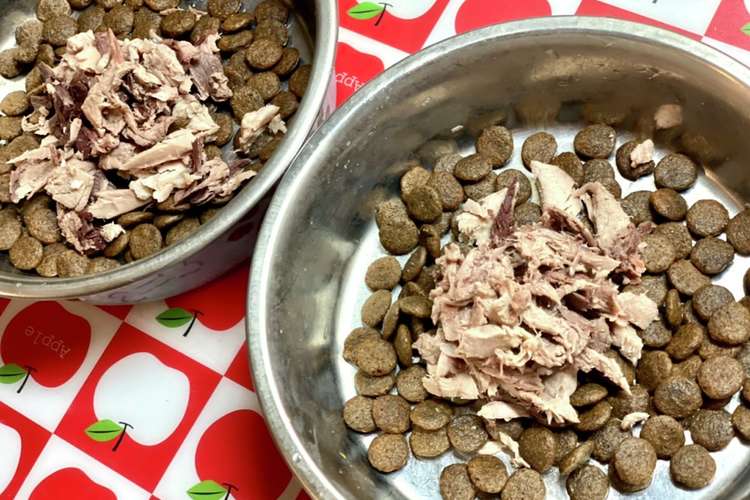 老犬のご褒美ご飯 マグロフレークふりかけ レシピ 作り方 By スタイリスト理香子 クックパッド 簡単おいしいみんなのレシピが360万品