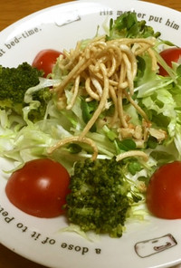 栄養◎パリパリ揚げ麺の野菜サラダ
