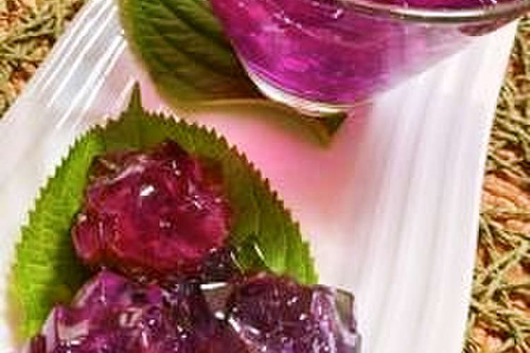 紫キャベツで彩り鮮やかな紫陽花の和菓子 レシピ 作り方 By コープかごしまのお店 クックパッド 簡単おいしいみんなのレシピが375万品