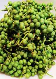 みんなが作ってる 山椒の実 保存のレシピ クックパッド 簡単おいしいみんなのレシピが374万品