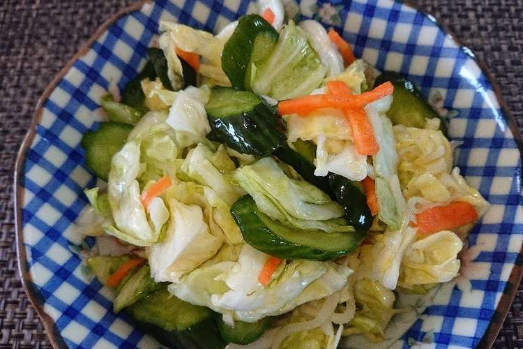 キャベツとキュウリのしょうが入り浅漬け レシピ 作り方 By 鹿部さっちゃんクック クックパッド 簡単おいしいみんなのレシピが372万品