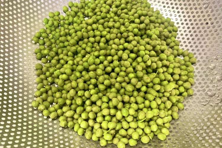 山椒の実 山椒 下処理 保存方法 レシピ 作り方 By ななこ丼 クックパッド 簡単おいしいみんなのレシピが371万品