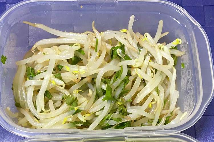 パクチー入りもやしの酢の物 レシピ 作り方 By 白 ハート クックパッド 簡単おいしいみんなのレシピが353万品