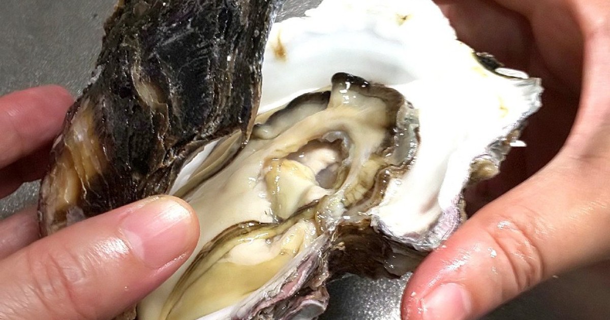 岩牡蛎 牡蛎の開け方 レシピ 作り方 By 及川真愛弥 クックパッド 簡単おいしいみんなのレシピが361万品