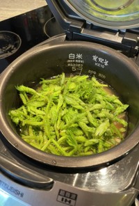 【タラの芽　炊き込みご飯】山菜を食べる