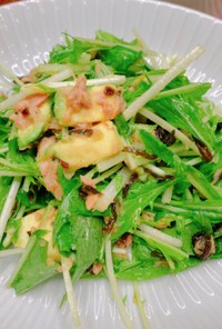 水菜塩昆布とアボカドシーチキンサラダ