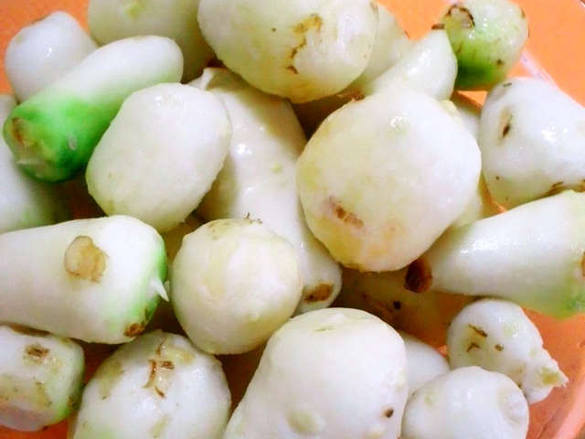 里芋 の 茹で 方