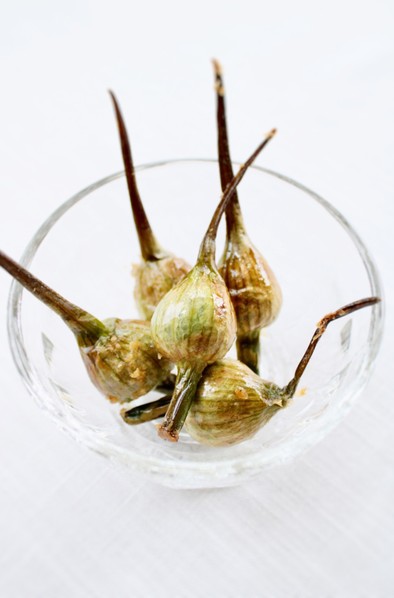 にんにく芽花蕾【にんにくの芽のつぼみ揚げの写真