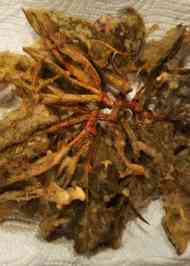 みんなが作ってる いたどりのレシピ クックパッド 簡単おいしいみんなのレシピが356万品