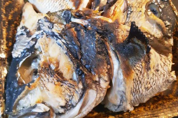 一味違うクロダイの兜焼き レシピ 作り方 By お魚万歳 クックパッド 簡単おいしいみんなのレシピが356万品