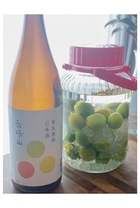 簡単♡日本酒で仕込む美味しい梅酒