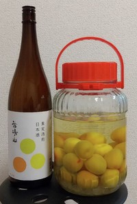 日本酒で作るまろやか梅酒