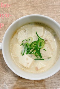 食べるスープ『麻婆豆乳スープ』