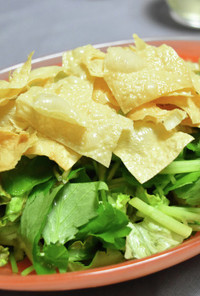 緑の野菜と揚げ湯葉のサラダ