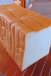 冷蔵中種　2斤食パン