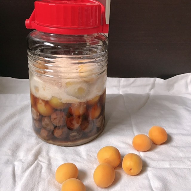 冷凍梅で簡単 梅シロップ レシピ 作り方 By ぶーすかおくさま クックパッド 簡単おいしいみんなのレシピが355万品