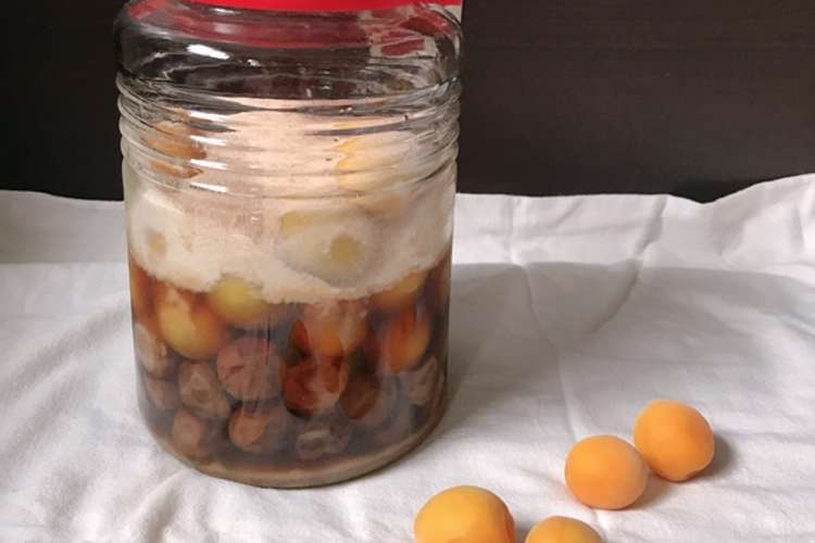 冷凍梅で簡単 梅シロップ レシピ 作り方 By ぶーすかおくさま クックパッド 簡単おいしいみんなのレシピが357万品