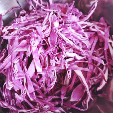 【腸活】紫キャベツのコールスロー【麹】の写真